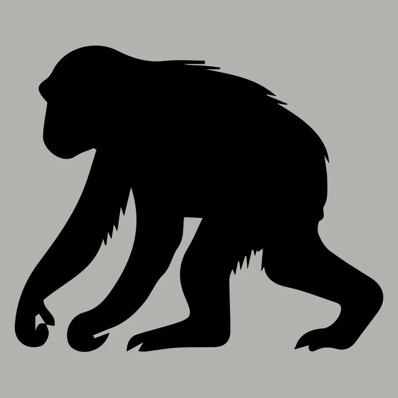 monkey