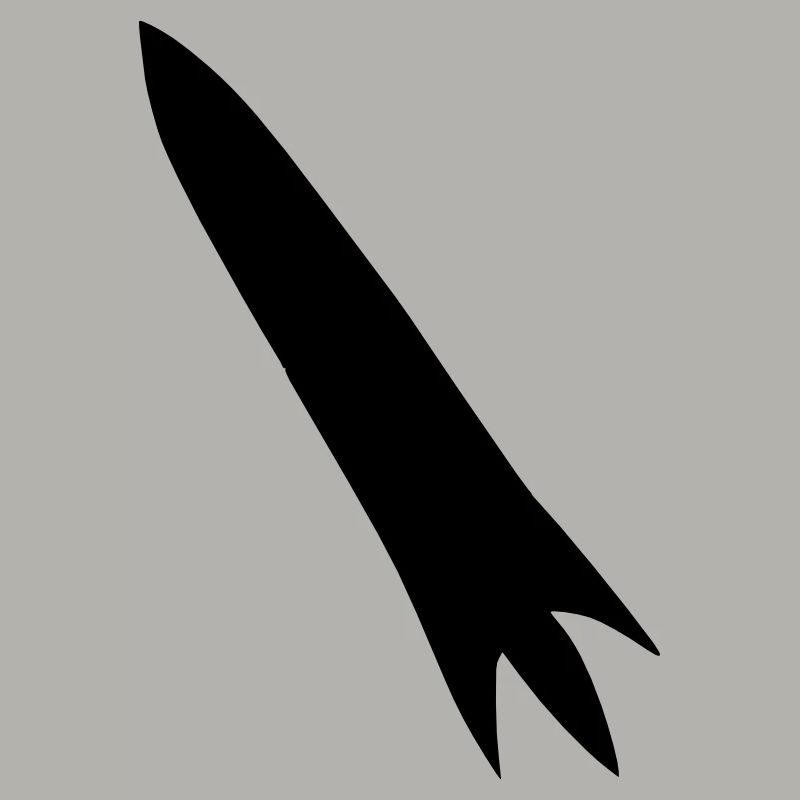 Vecteur de vol spatial spatial de fusée spatiale