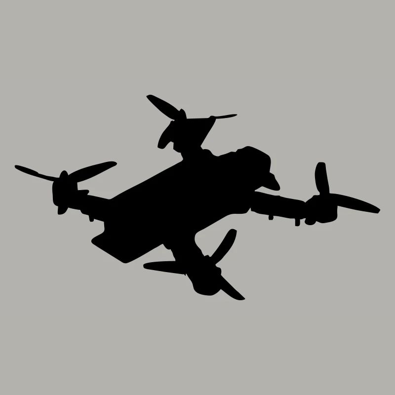 Drohne 2