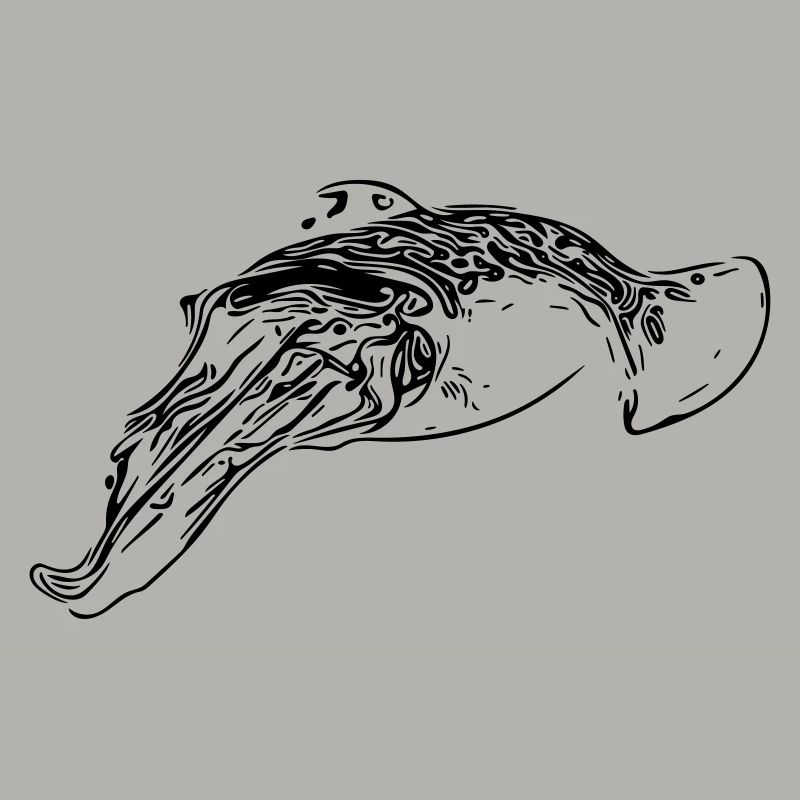Cuttlefish