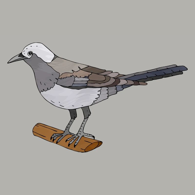 Vogel