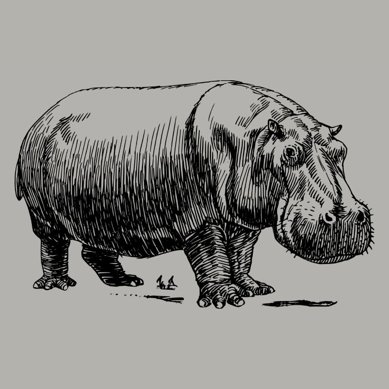 Nilpferd