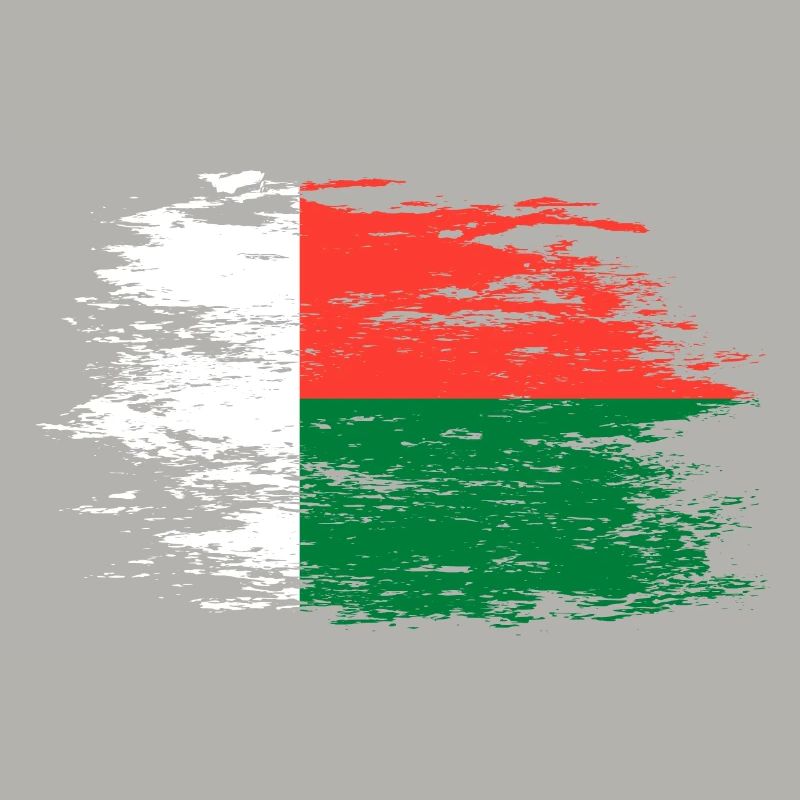 Drapeau de Madagascar utilisé