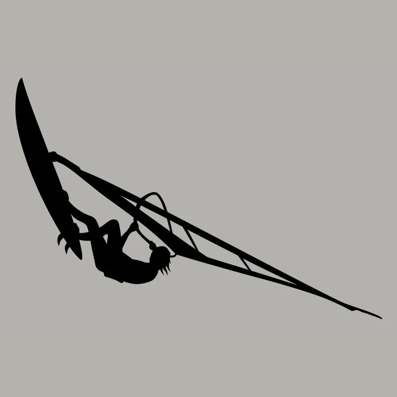Windsurfer
