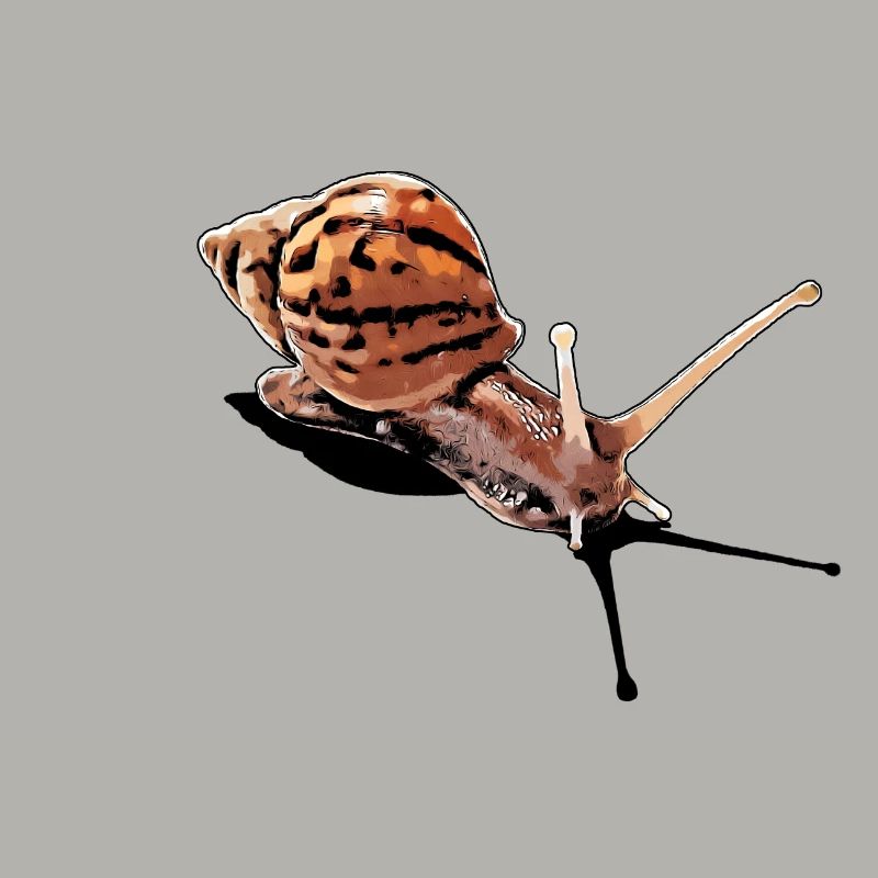 snail with shadow