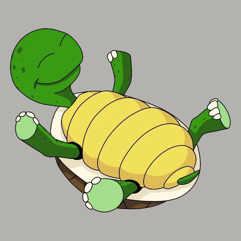 Turtle on its back