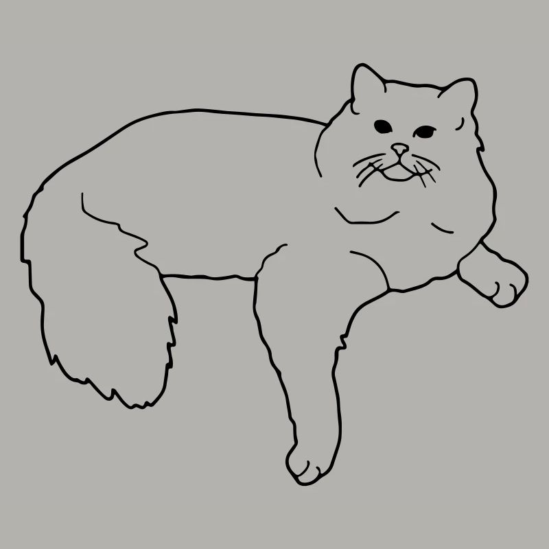 ragdoll