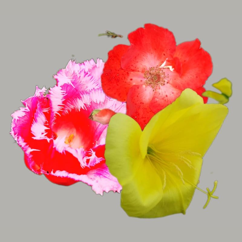 Blumen