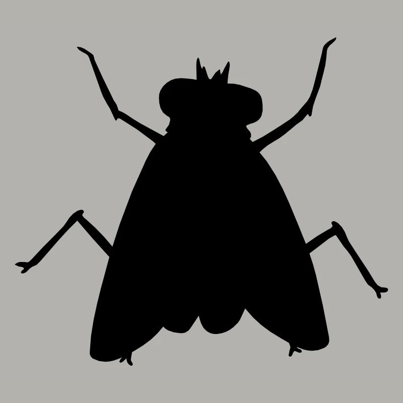 Silhouette Petite Mouche Domestique Insecte