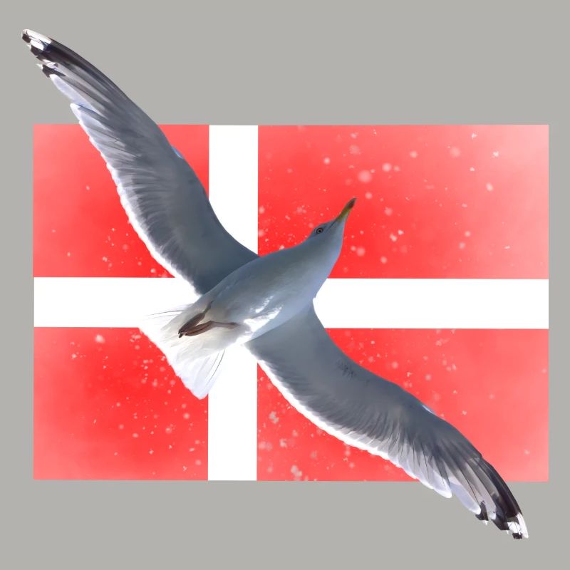 Dänemark Möwe Danmark