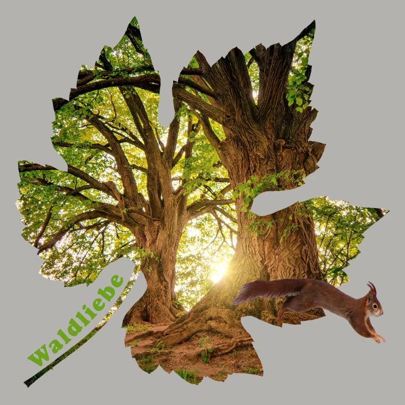 wald 25 im blatt mit eichhörnchen