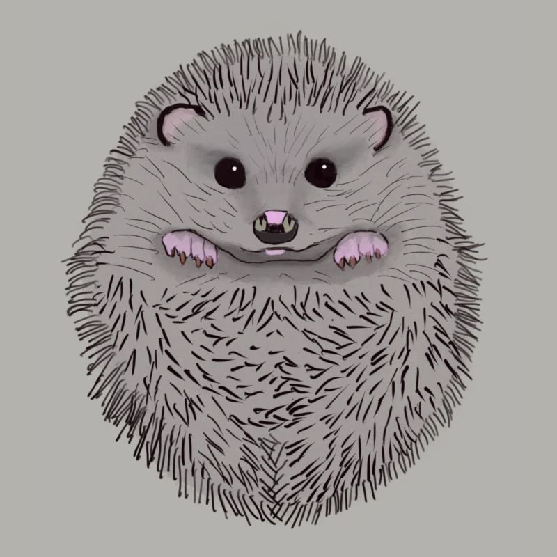 Igel