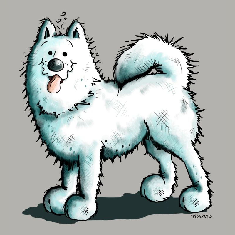Sammy Samoyed - Samoyède