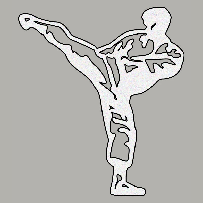 karate silber