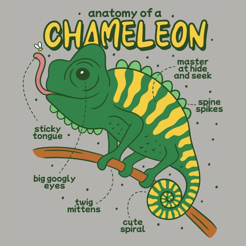 Anatomie eines Chamäleons