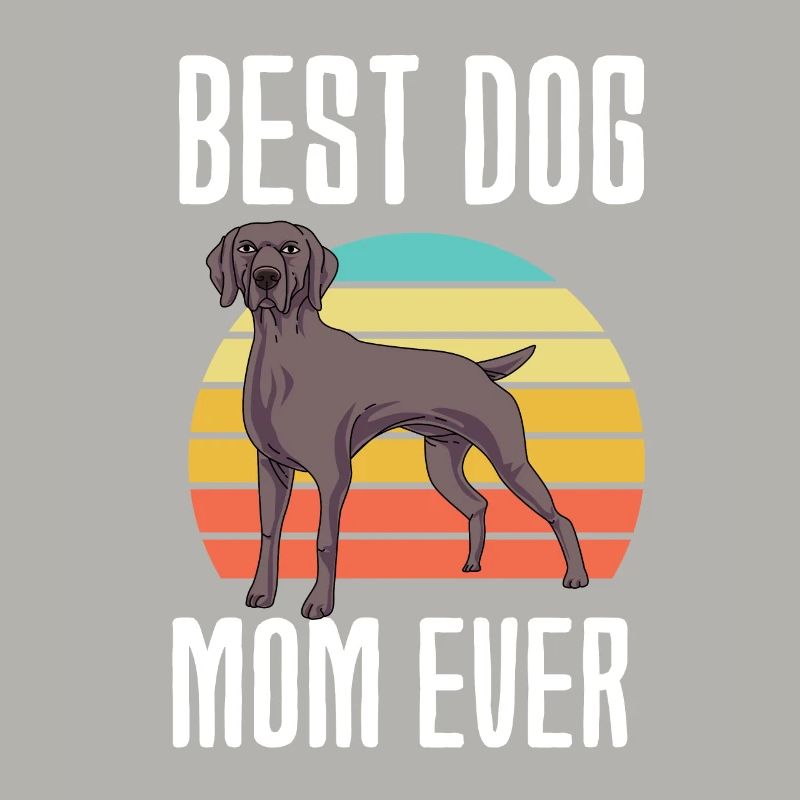 Weimaraner