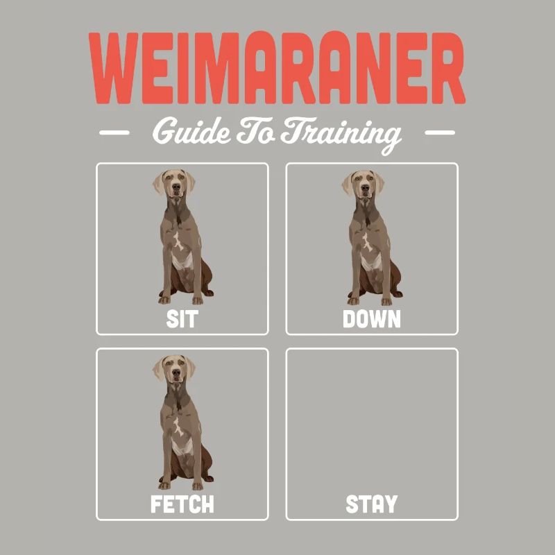 Weimaraner
