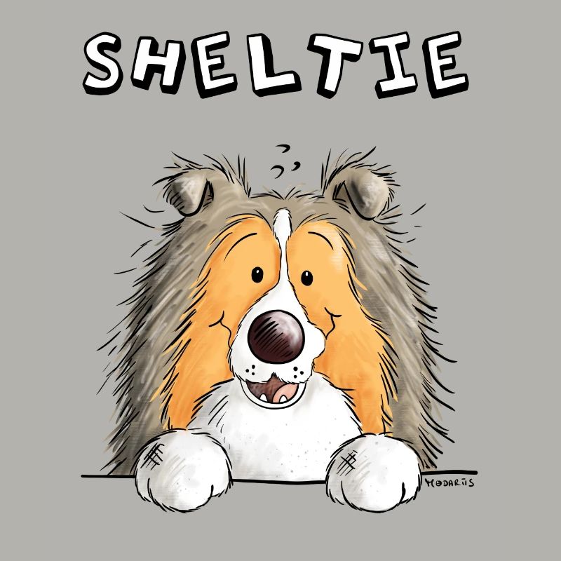 Neugieriger Sheltie