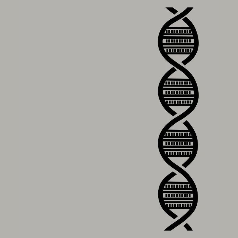 Black DNA harmonica for harmonica player