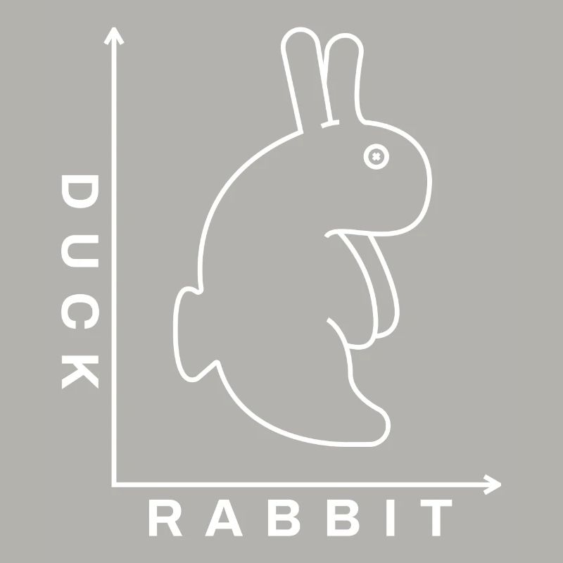 Rabbit Duck Illusion