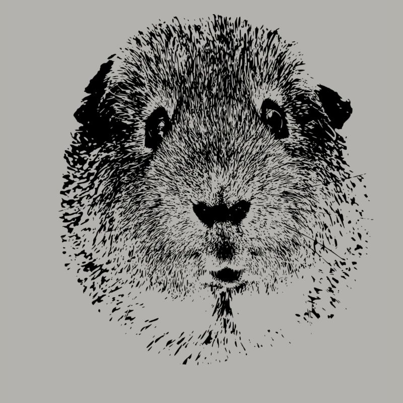 cobayes