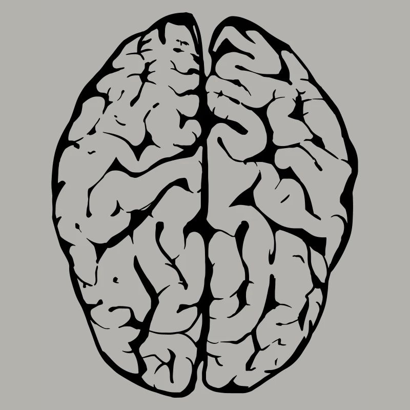 brain