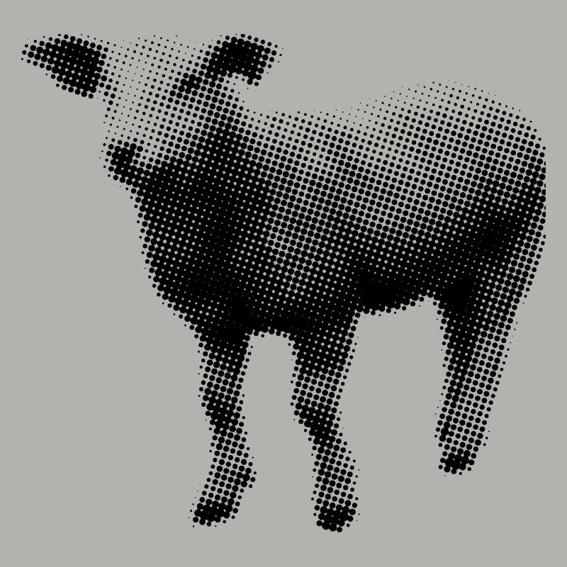 Lamm