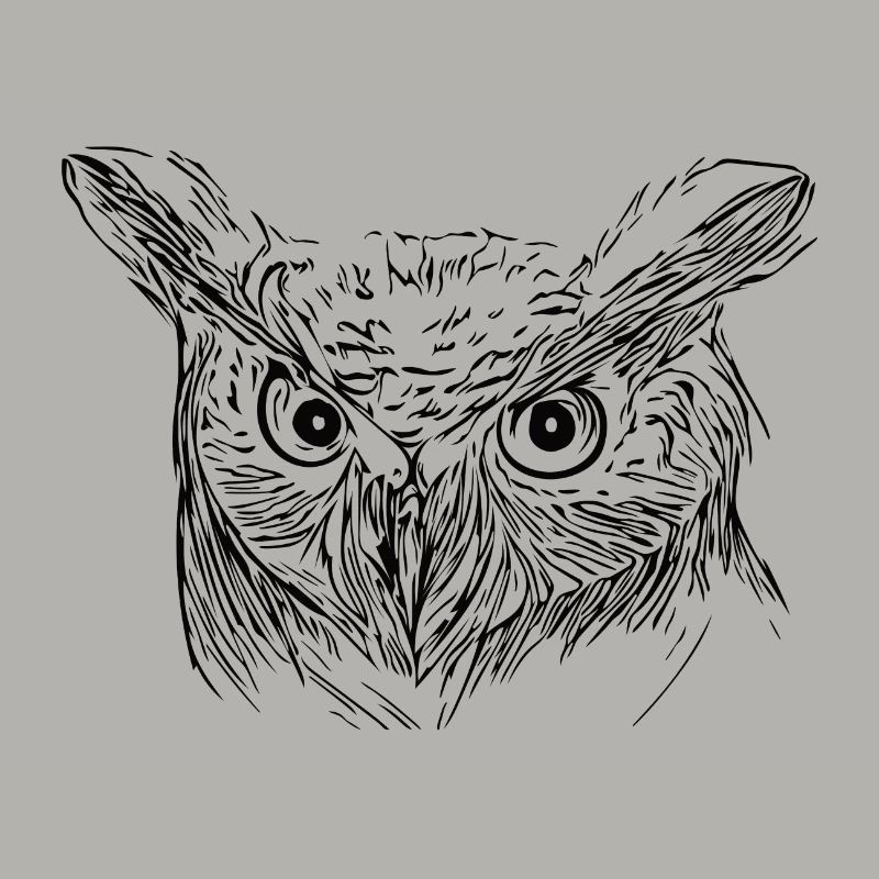 Eule - Uhu - Vogel