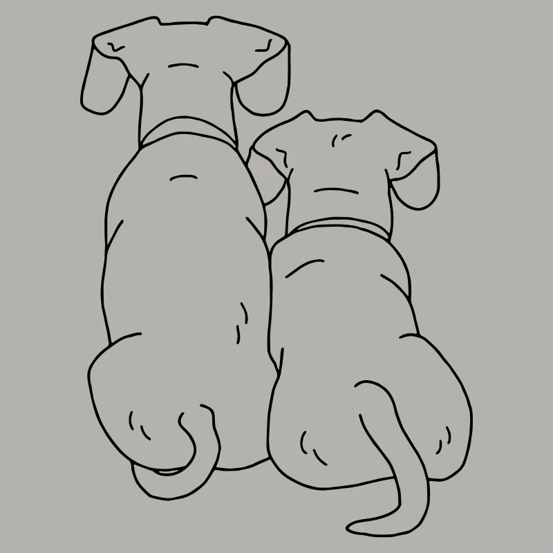 zwei Hunde