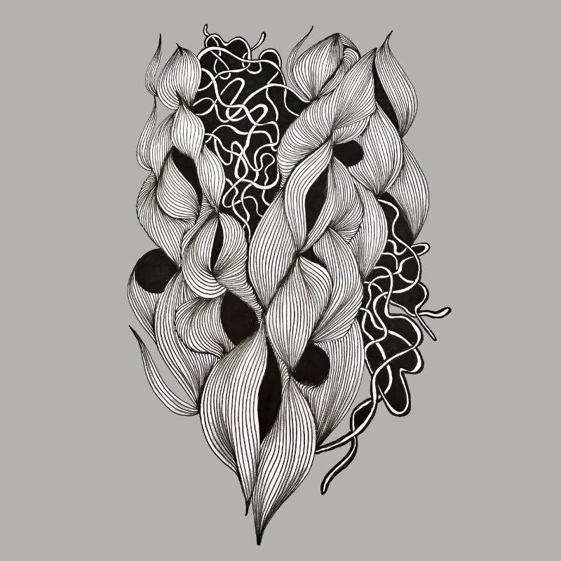 Plexus cardiaque entrelacé