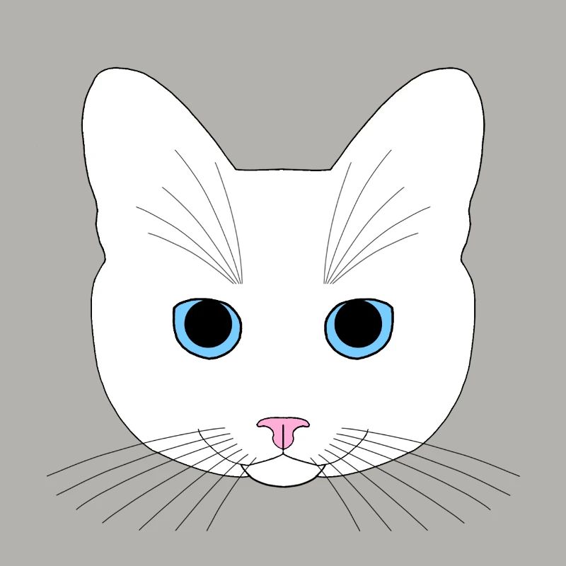 Chat blanc
