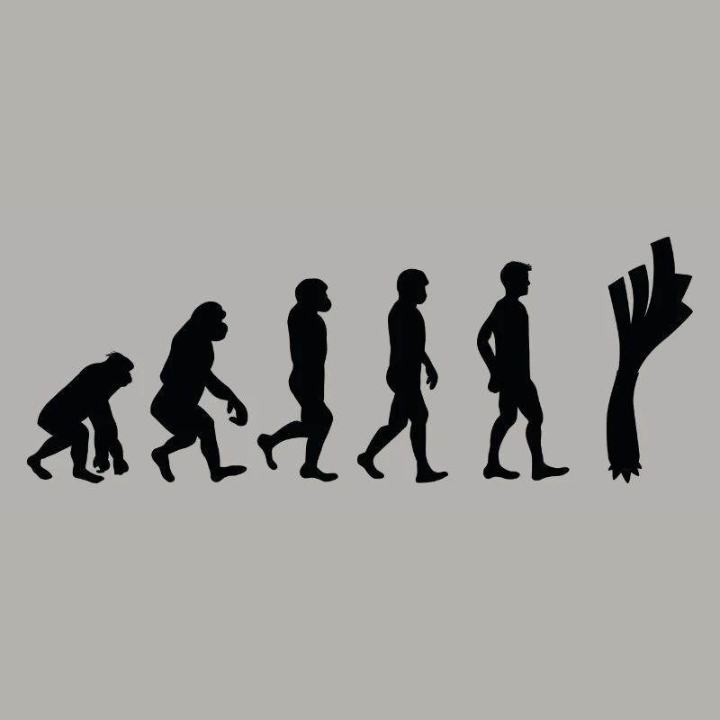 Lauch Evolution