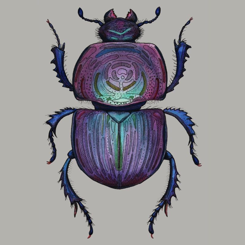 Big Beetle - Coléoptère géant
