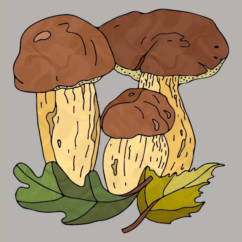 Pilze