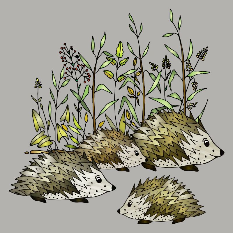 Igel