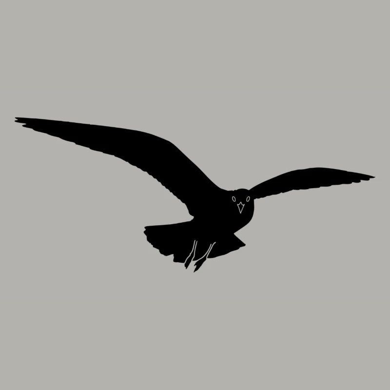 Möwe