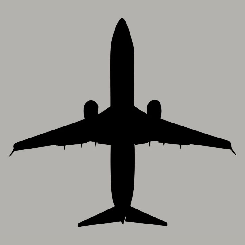 Flugzeug
