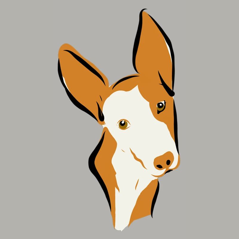Podi