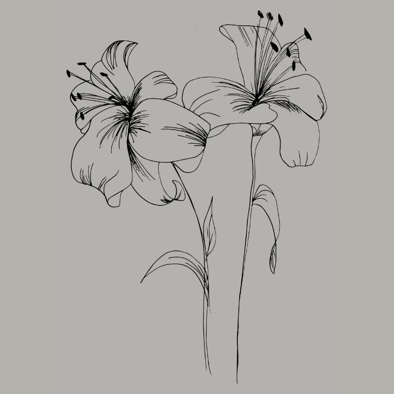 Lys