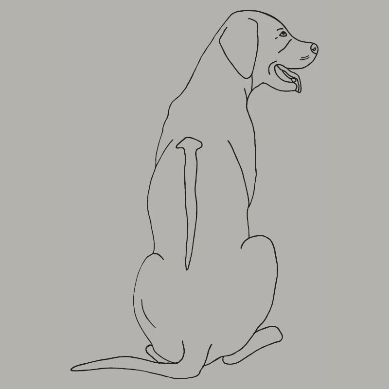Rhodesian Ridgeback