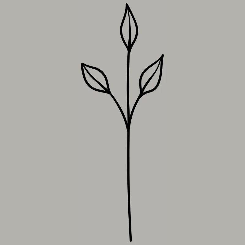 herbes simples