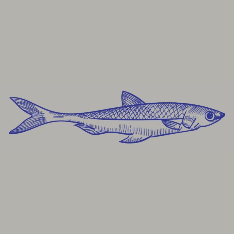 Fisch