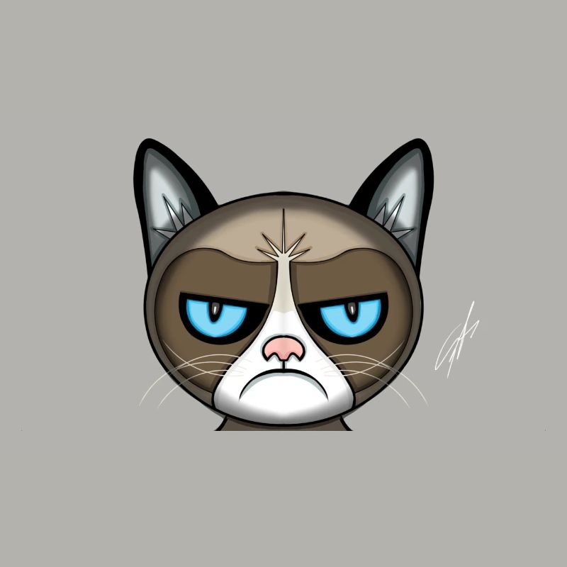 böse Katze