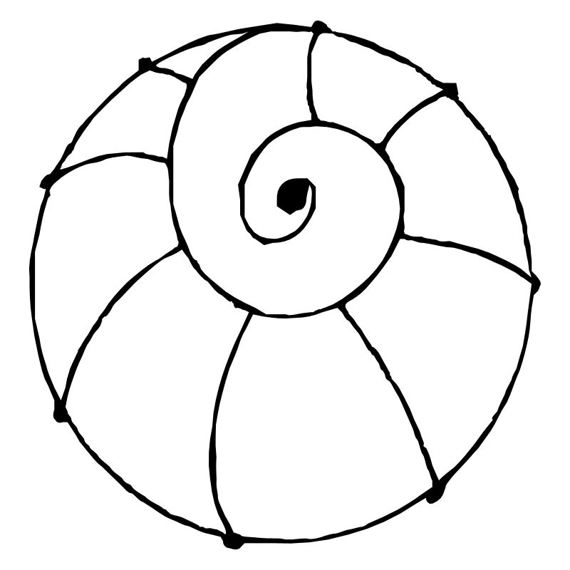 shell