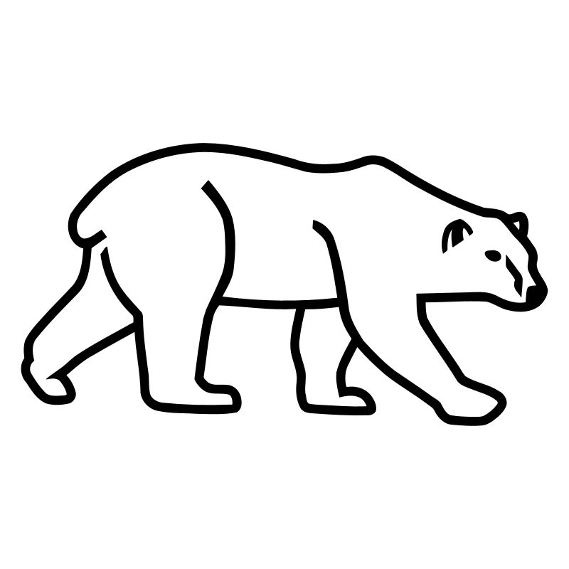 Polar bear