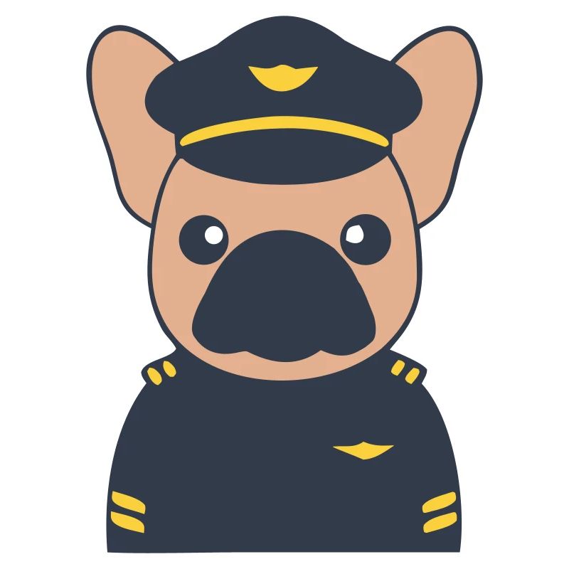 Frenchie Pilot Captain Uniform
