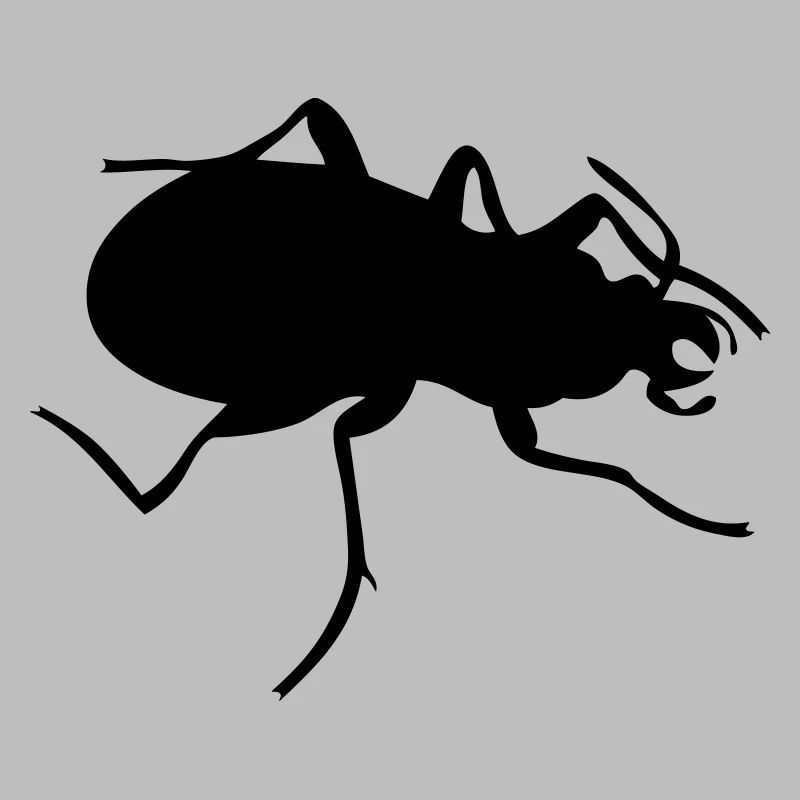 Bug