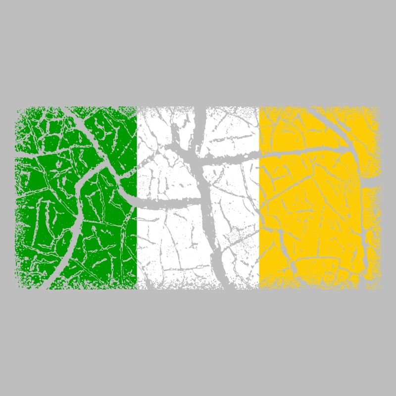 Offaly (comté)