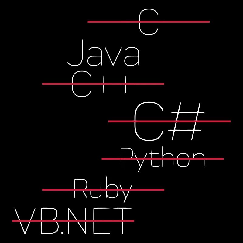 JAVA CODING / PROGRAMMEERTAAL