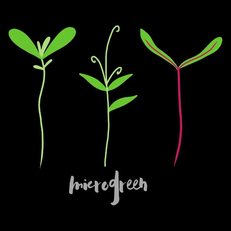 Mikrotriebe - Microgreen